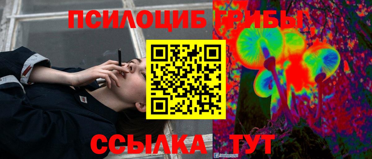 Псилоцибиновые грибы прущие грибы  Вход с VPN  Бор 